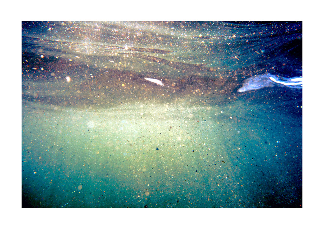 underwater-photography-art-print-cornwall-maia-walczak